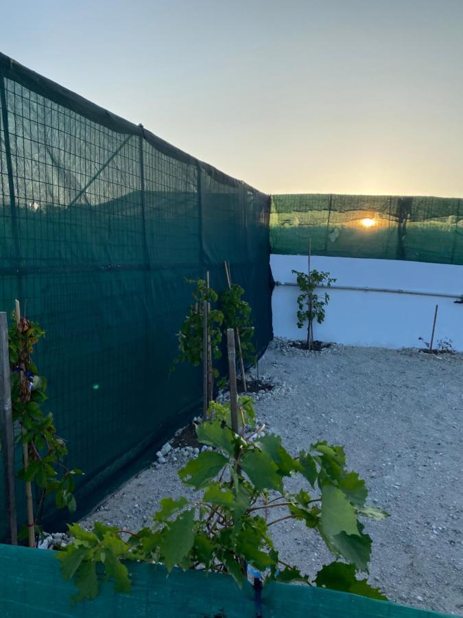 Amato Villa Mandrakia Exterior photo